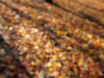 Full frame shot of abstract background