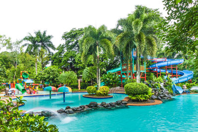 Swimming pool by palm trees against sky