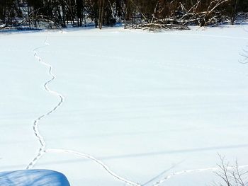 Bare trees on snow covered landscape