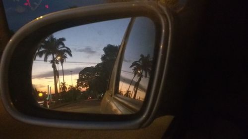 Reflection of trees in water at sunset