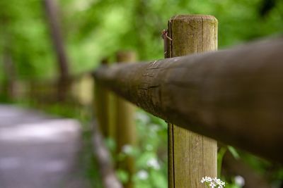 Close-up of wooden fence