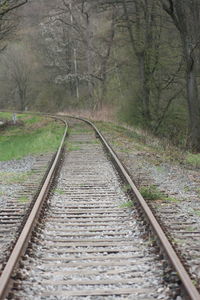 Railroad tracks amidst trees in forest