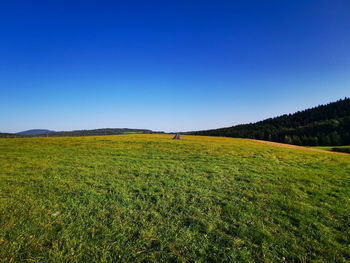 Scenic view of field against clear blue sky