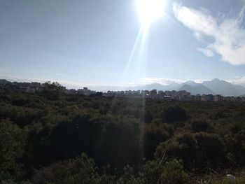 Scenic view of landscape against sky on sunny day