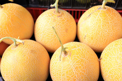 Close-up of oranges in market