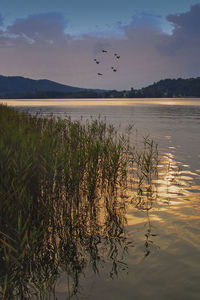 Scenic view of lake against sky