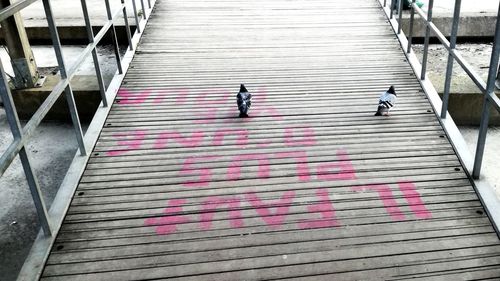 High angle view of people walking on steps