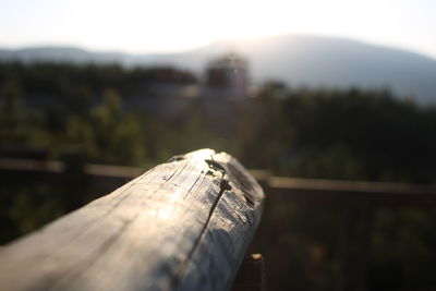 Close-up of wood against sky