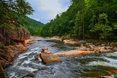 River flowing amidst rocks in forest