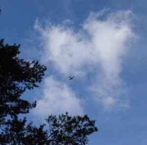 Low angle view of airplane flying against sky