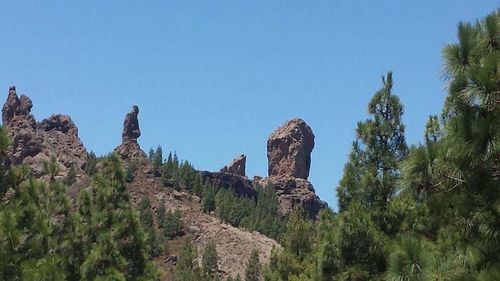 Panoramic view of trees against clear blue sky