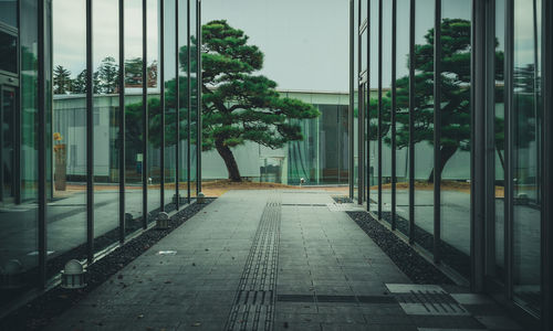 Footpath amidst buildings seen through glass window