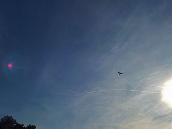 Low angle view of birds flying against sky