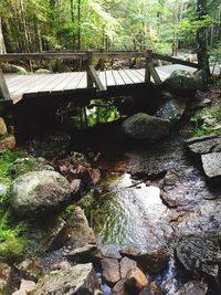 Footbridge in forest