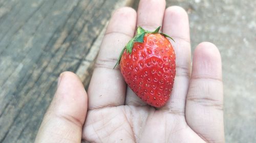 Cropped image of hand holding strawberries