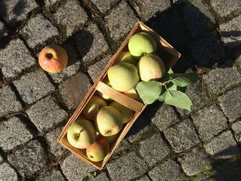 High angle view of fruits