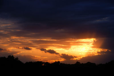 Silhouette trees against orange sky