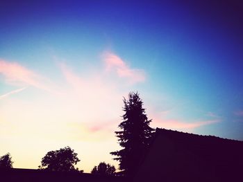 Low angle view of silhouette tree against sky