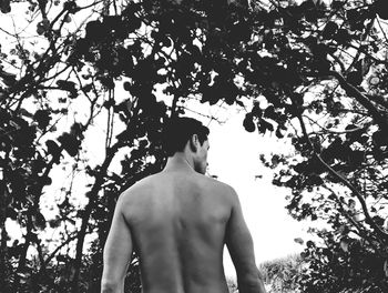 Rear view of shirtless man standing against trees