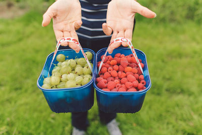 One person showing two baskets of fresh berries