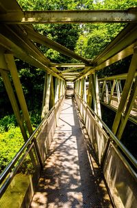 View of footbridge along trees