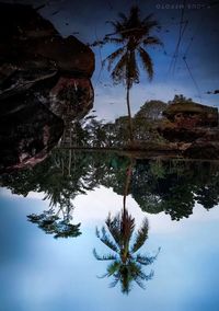 Reflection of trees in lake against sky