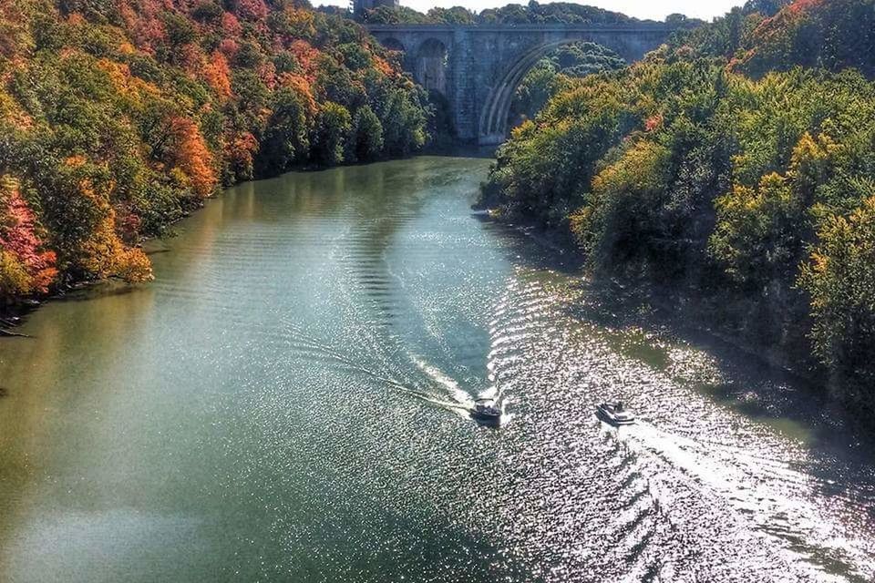 HIGH ANGLE VIEW OF RIVER BY TREES