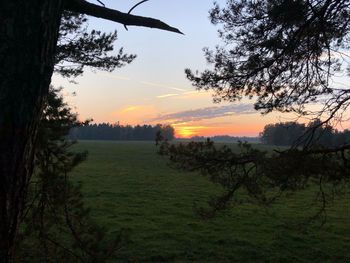 Scenic view of field against sky during sunset