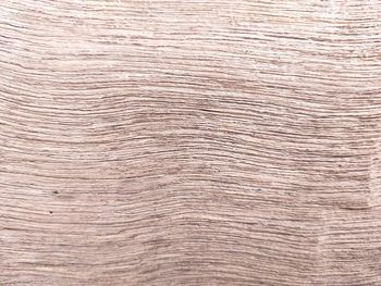 Full frame shot of wooden planks