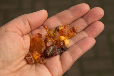 Close-up of hand holding amber found