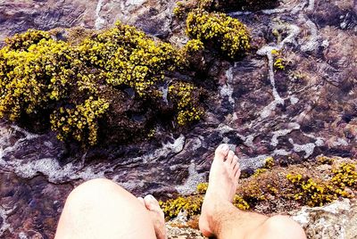 Low section of man in water