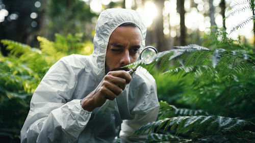 Botany study of plants in the rainforest