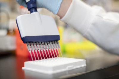 Close up of multi channel pipette in a life science lab