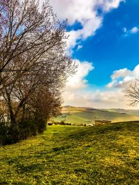 Scenic view of field against sky