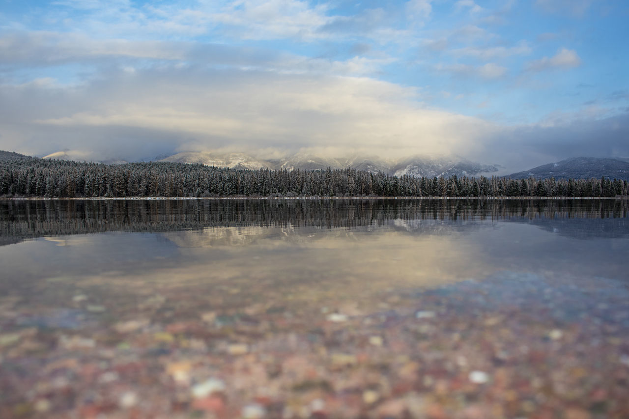 SCENIC VIEW OF LAKE BY TREES AGAINST SKY