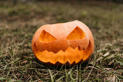 Close-up of pumpkin on grass