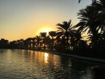 Silhouette palm trees by swimming pool against sky during sunset