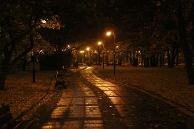 Illuminated street light at night
