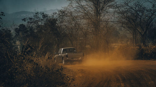 Car on dirt road amidst trees in forest