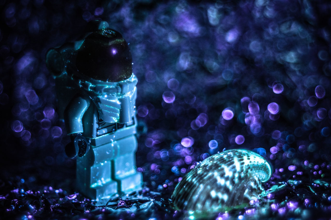 no people, close-up, illuminated, lighting equipment, night, focus on foreground, indoors, purple, still life, decoration, celebration, christmas, christmas ornament, nature, glass - material, animal, selective focus, animal wildlife, christmas decoration