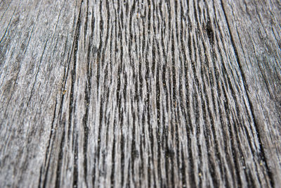 Full frame shot of trees