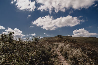 Panoramic view of landscape against sky