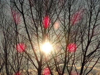 Low angle view of bare trees against sky