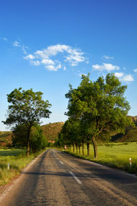 Road by trees against blue sky