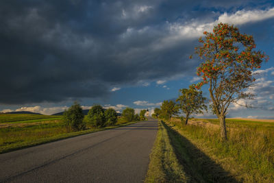 Road amidst field against sky