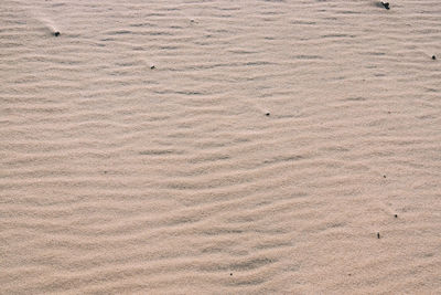 Close-up of sand pattern in desert