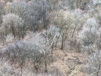 View of snow covered landscape