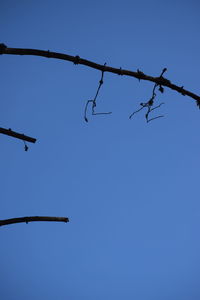 Low angle view of clear blue sky