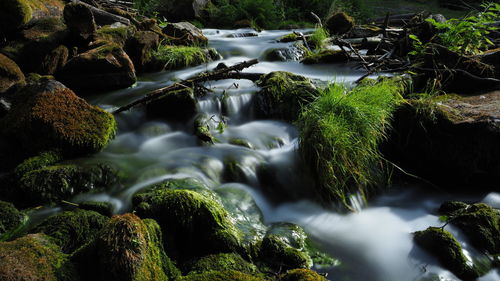 Stream flowing through rocks in forest