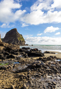 Rocky coast and black sand at piha beach